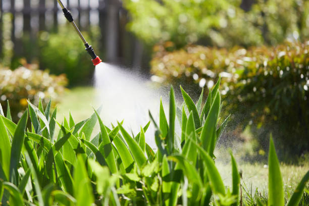 24/7 Emergency Cockroach Control experts in Jacksonville, OR