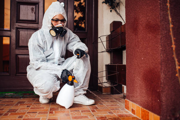Reliable Cockroach Control contractor in Jacksonville, OR by Nex Pest Control